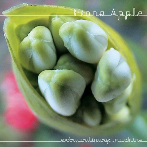 Extraordinary Machine - Front Cover