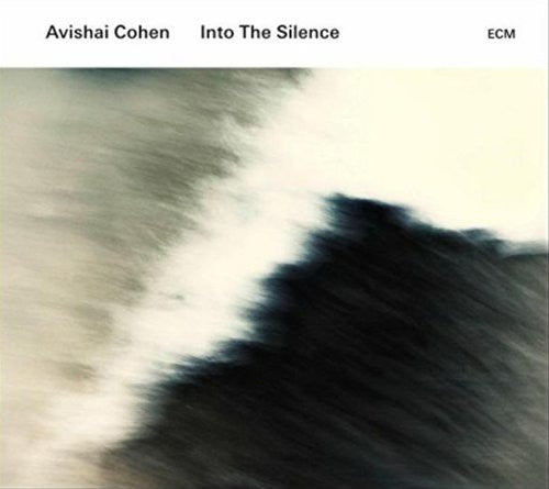 Into the silence - Front Cover