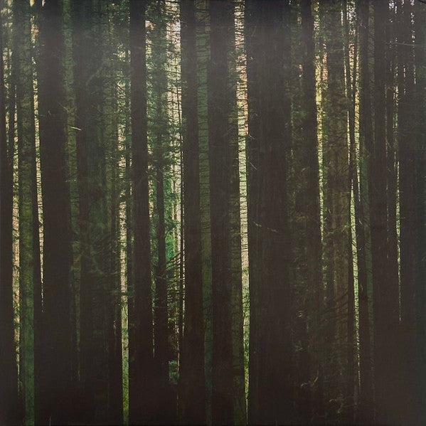 Evergreen - Front Cover