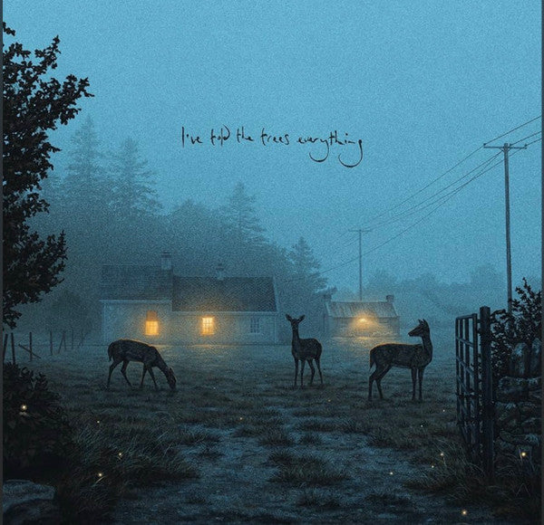 I've Told The Trees Everything - Front Cover