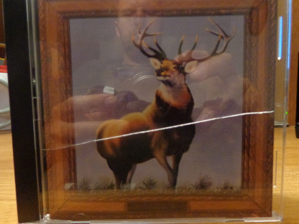 12 point buck - Front Cover