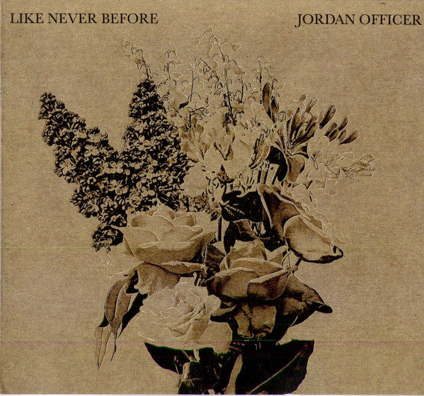 Like Never Before - Front Cover