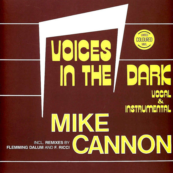 Voices In The Dark - Front Cover