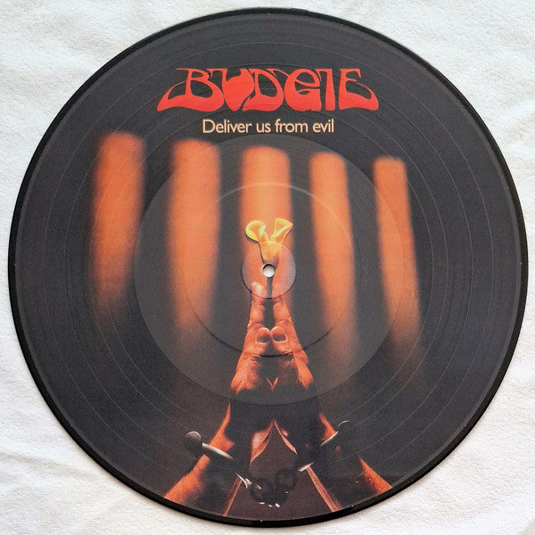 Deliver Us From Evil Édition Limitée Picture Disc - Front Cover