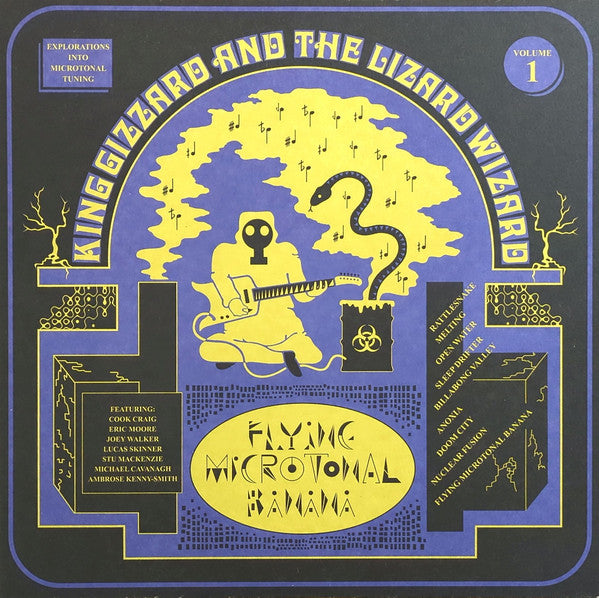 Flying Microtonal Banana - Front Cover