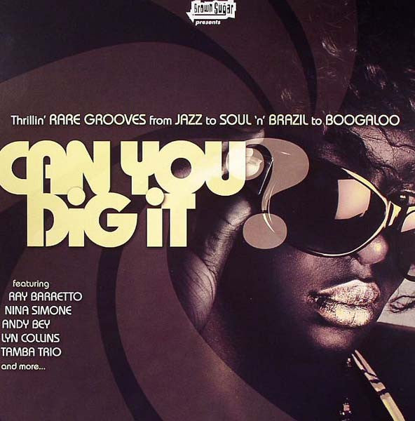 Can You Dig It? - Front Cover