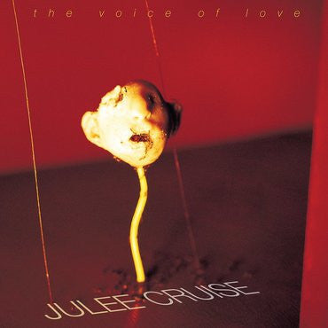 The Voice Of Love - Front Cover