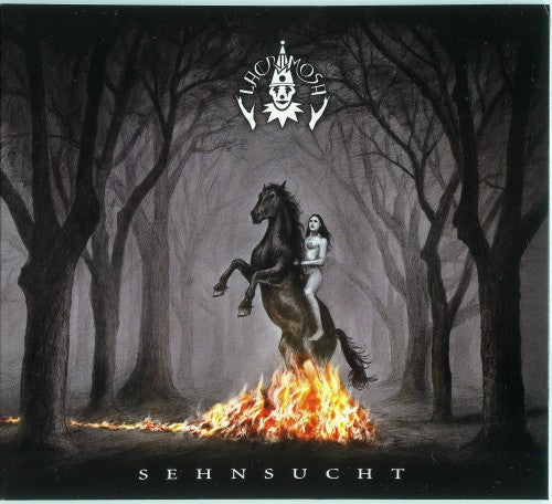 Sehnsucht - Front Cover