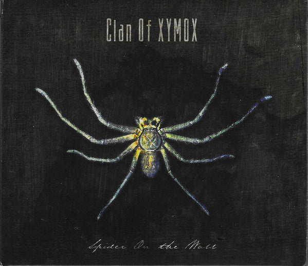 Spiders On The Wall - Front Cover