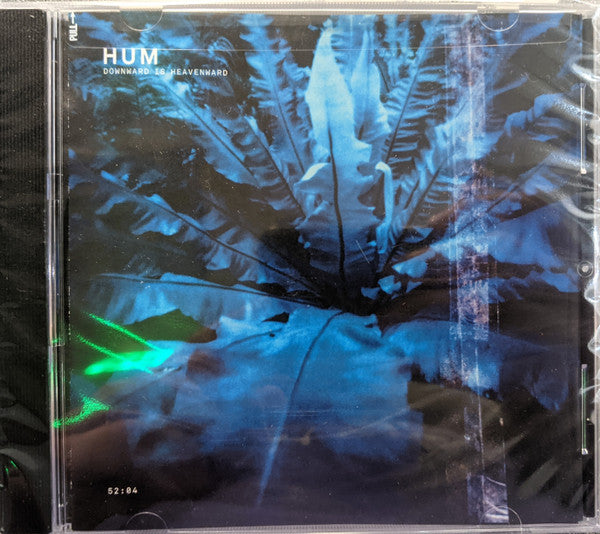 Downward Is Heavenward - Front Cover