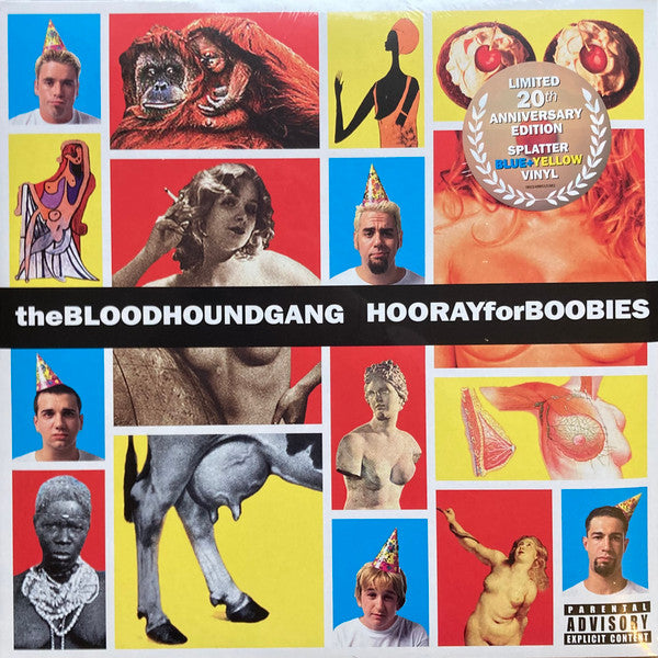 Hooray For Boobies - Front Cover