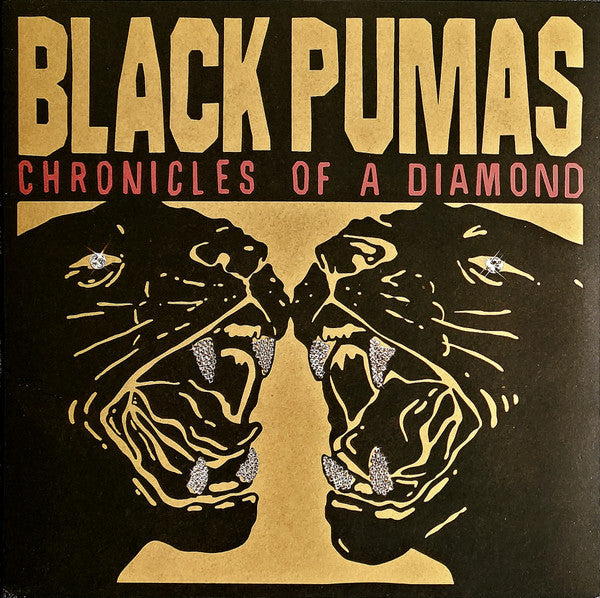 Chronicles Of A Diamond Édition Limitée - Front Cover