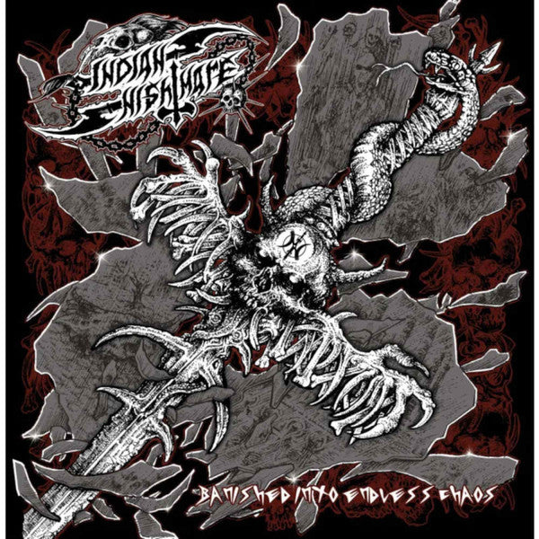 Banished Into Endless Chaos - Front Cover