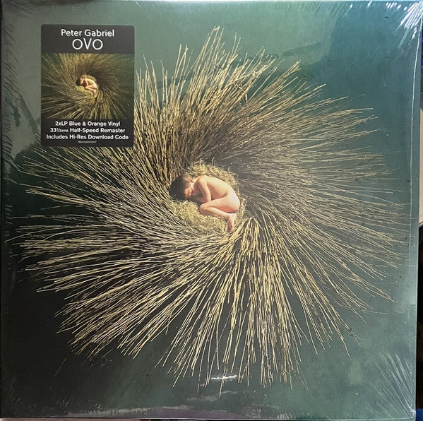 OVO - Front Cover