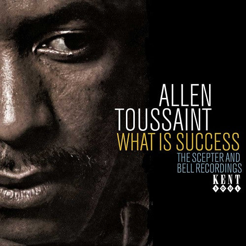 What is success - Front Cover