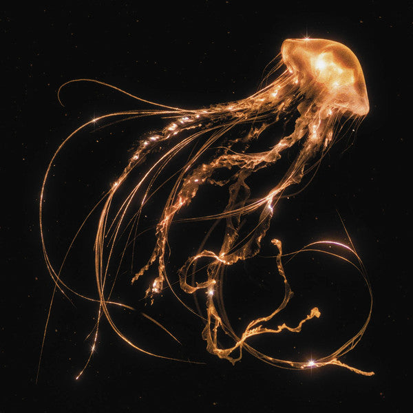 Back To The Water Below Édition Limitée Exclusivité Fnac Vinyle Transparent - Front Cover
