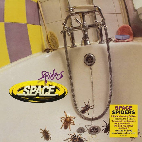 Spiders - Front Cover