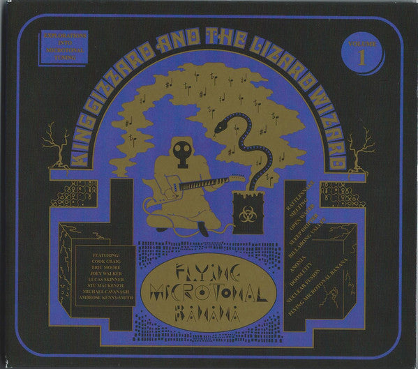 Flying Microtonal Banana - Front Cover