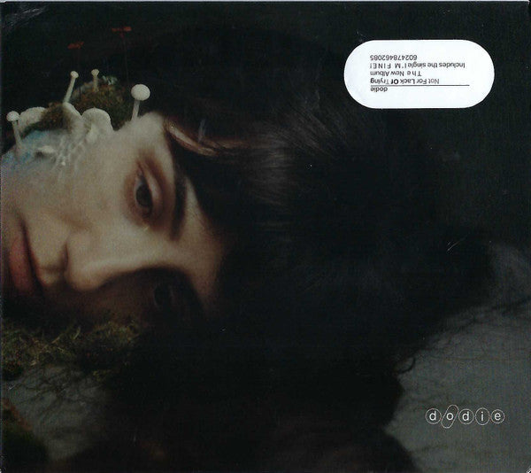 Not For Lack Of Trying - Front Cover