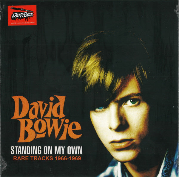 Standing On My Own : Rare Tracks 1966-1969 Vinyle Orange - Front Cover