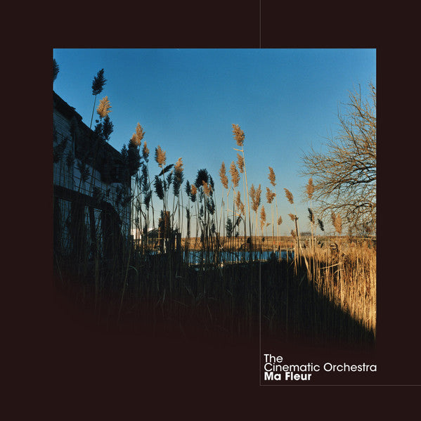 Ma fleur - Front Cover