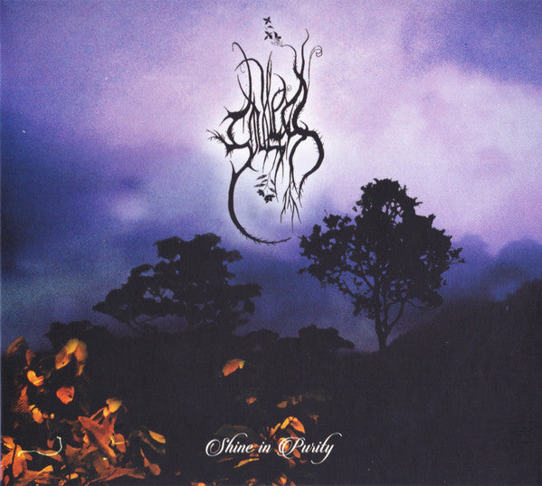 Shine In Purity - Front Cover