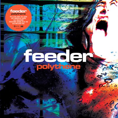 Polythene - Vinyle - Front Cover