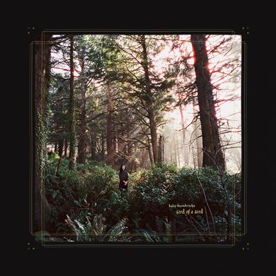 Seed of a Seed (Vinyle LP) / Haley Heynderickx - Front Cover