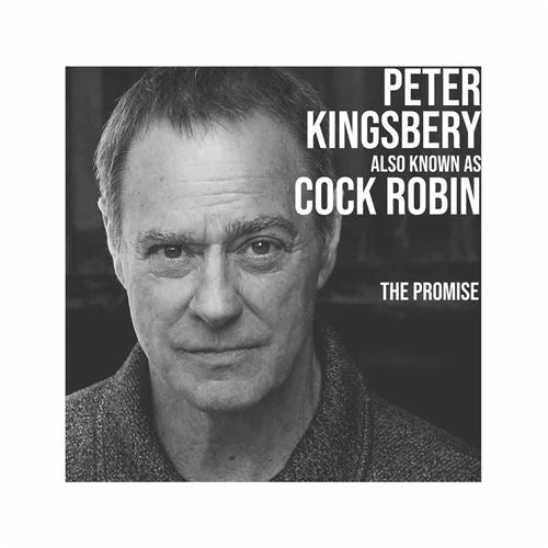 The Promise - Front Cover