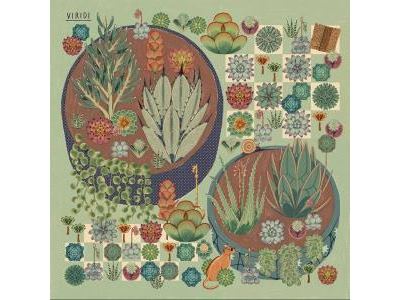 Viridi Vinyle Vert - Front Cover